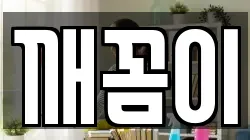 깨꼼이