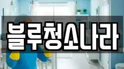 블루청소나라