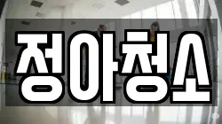 정아청소