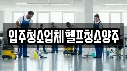 입주청소업체헬프청소양주