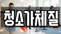 청소가체질