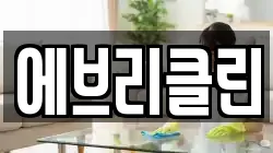 에브리클린