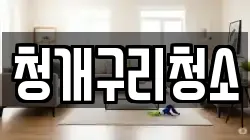 청개구리청소