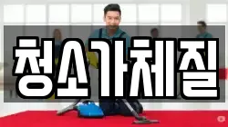 청소가체질