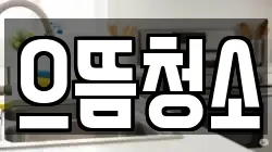으뜸청소
