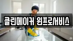 클린메이커 윈프로서비스