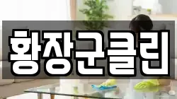황장군클린