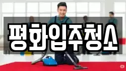 평화입주청소