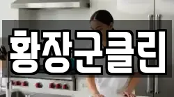 황장군클린