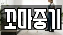 꼬마중기