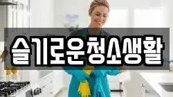 슬기로운청소생활