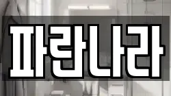 파란나라