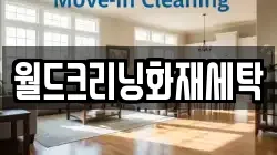 월드크리닝화재세탁