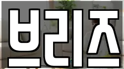브리즈