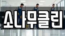 소나무클린