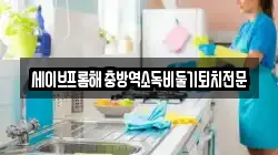 세이브프롬해충방역소독비둘기퇴치전문