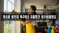 청소왕 용인점 특수청소 유품정리 침수화재청소