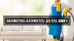 자동차에어컨청소,내시경에바크리닝,실내크리닝,냄새제거