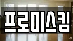 프로미스킴
