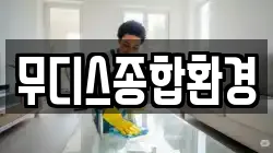 무디스종합환경