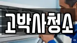 고박사청소