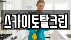 스카이토탈크린