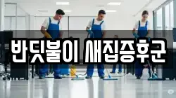 반딧불이 새집증후군