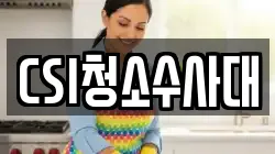 CSI청소수사대