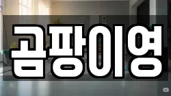 곰팡이영