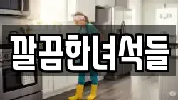 깔끔한녀석들