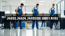 고독사청소,고독사소독,고독사청소업체,냄새제거,특수청소