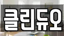 클린듀오