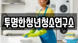 투명한청년청소연구소