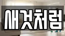 새것처럼