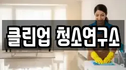 클린업 청소연구소