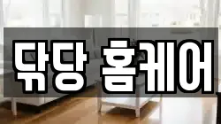 닦당 홈케어