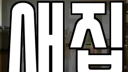 새집