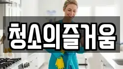 청소의즐거움