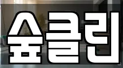 숲클린