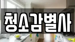 청소감별사