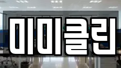 미미클린