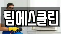 팀에스클린