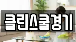 클린스쿨경기
