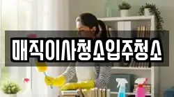 매직이사청소입주청소