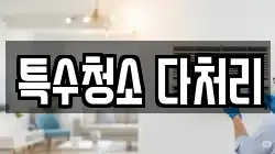 특수청소 다처리
