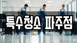 특수청소 파주점