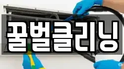 꿀벌클리닝
