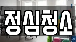 정심청소