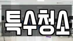 특수청소
