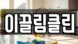 이끌림클린